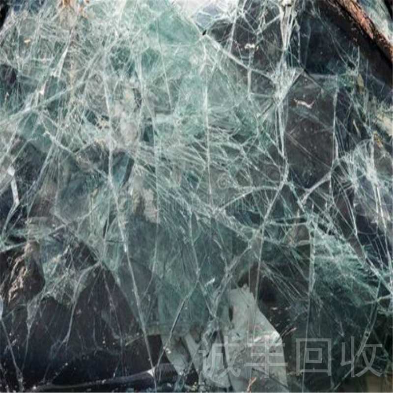 西藏黄瓜成人网站